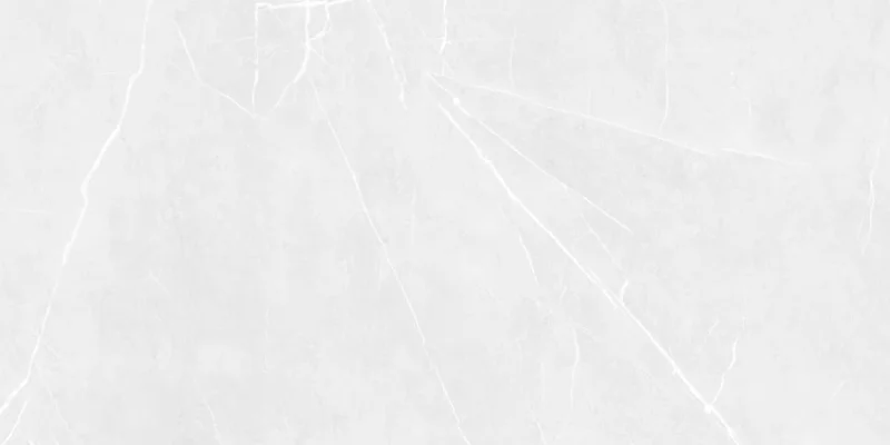 2026_07_18_909053